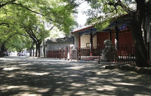 府学胡同附近有算命和改名的中医医院吗？