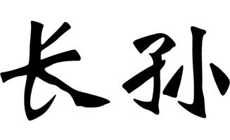 孙姓女虎宝宝2026年名字，海字如何改写为？