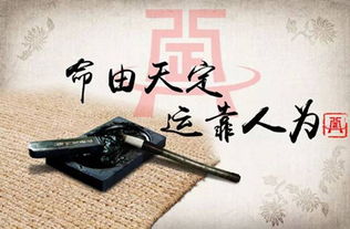 如何通过生辰八字推算个人运势？