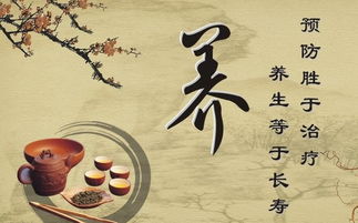 炼己修心：意志力与内心觉察的修炼