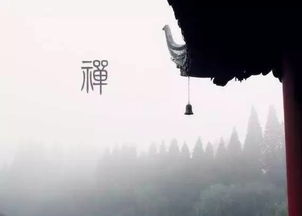 1.1 “修心”之核心——放下杂念， 回归平静