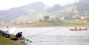 一、项目多样：从赶海拾贝到飞艇驽空，随便挑呃！