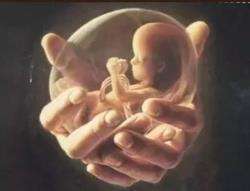 堕胎后婴灵的传统观念与超度需求