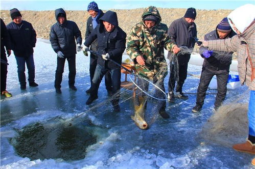 四、 渔业习俗——人与水域互动的技术传承