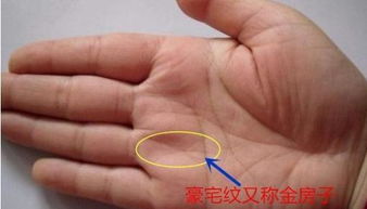 三、 手相细节与婚姻关系生活互补性解析