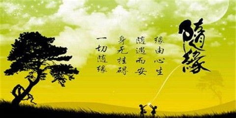 不断学习与自我提升：通往卓越的阶梯