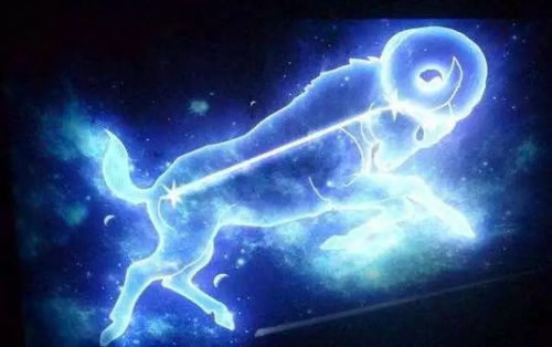 摩羯座上升天蝎，摩羯天蝎最配的星座是哪个？