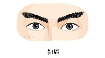 眉毛：性格与人际关系