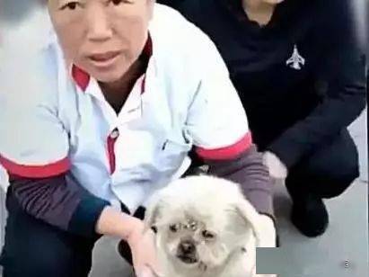 四、进阶玩法：文艺范儿 & 全球范儿