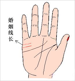 二． 分叉形式及其家族运行效应解析：