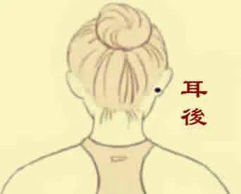 1.1 “长寿之相”的根源：生理与命理的双重考量