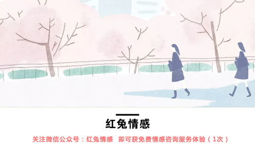 一、 生肖相生相克理论于感情挽回中的指导意义