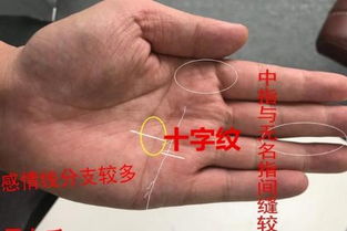 （四）手掌下部與命運線相連的三角形