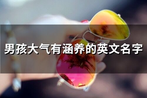 有没有大气又带‘琛’字的男孩名字推荐？