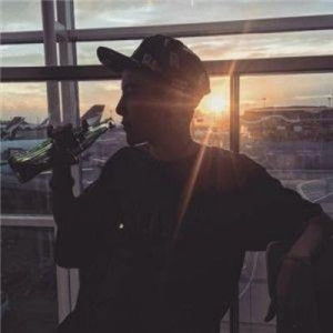 三、 生肖属性对个人运势及相应风水布局建议的系统阐释