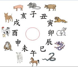 十二生肖运势谚语具体含义是什么？