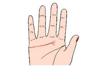 双重智慧线：性格二元性与事业导向