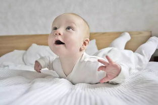 孕妇梦见大狗和自己彳艮亲近，这预示着什么吉祥的征兆呢？