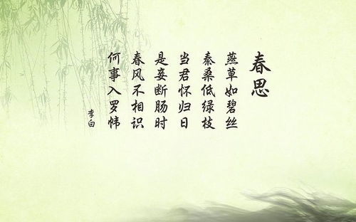 一、姓氏文化底蕴解读