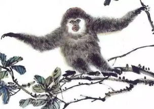 1971年属猪与1968年属猴的事业合作意味着什么？