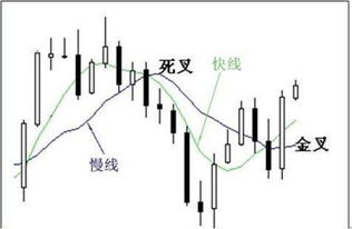 八字两两相冲又双合，这种组合在一起是吉是凶呢？