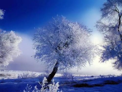 除了堪景还嫩干点啥吃喝玩乐一条龙