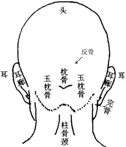 三、 传统方式文化底蕴视角下的枕骨