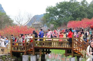 柳州龙潭公园门票省钱秘笈！2026年黄历出行指南