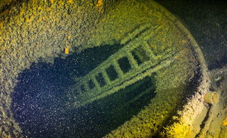 一、为什么名字会像一颗炸弹？