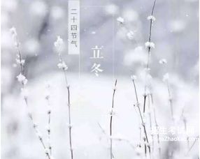 关于立冬的一些古诗