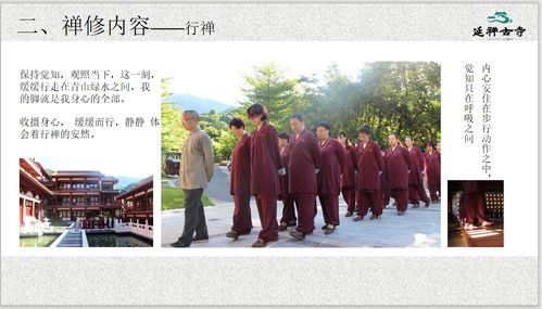  资深禅修导师分享秘籍