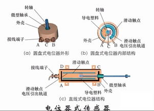二、  种生基的原理：阴宅阳用与气场共鸣