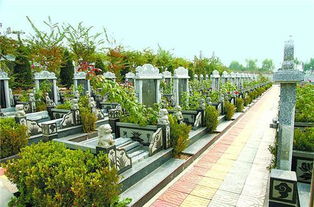 一、  风水学视域下的阴阳平衡与气场冲突