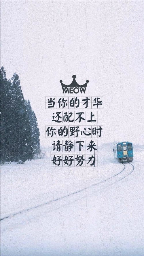 文献综述