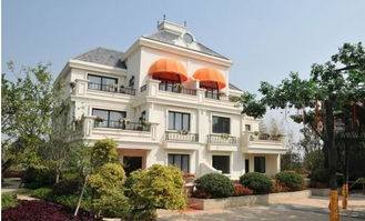 六、 社区氛围与气场稳定性的维护