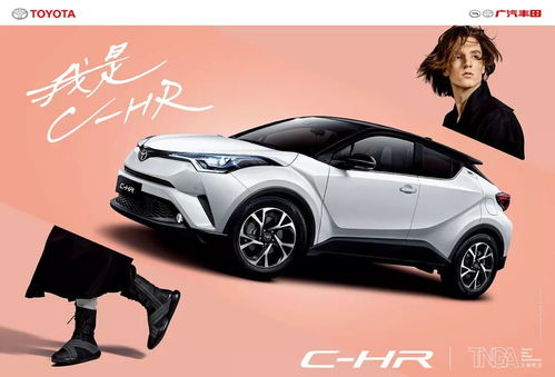 地域特色，  彰显个性