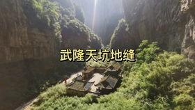 3. 职业倾向与风水助力——从猴到猪的对应分析