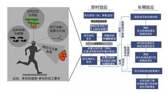 1.1 财位布局的科学研究依据及其实施要点
