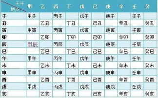 4. 干支纪元与生肖属性解析