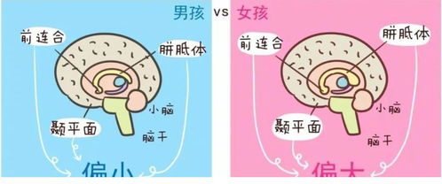 噪音示例：