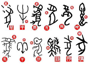 思字打一数字是什么生肖对应的数字？