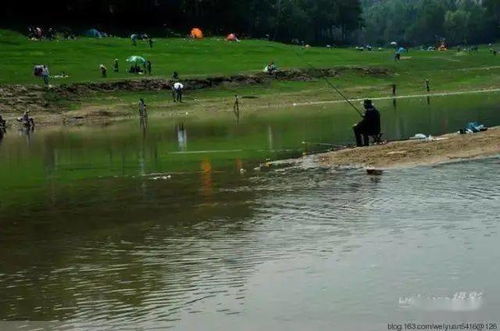 湟中莲花湖：2026年黄历显示不宜前往的