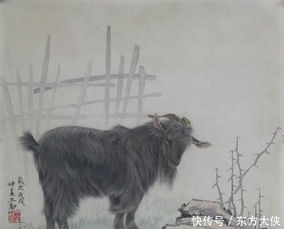 生辰八字中羊马虎狗相冲，请问这是真的吗？