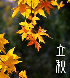 三、 体质差异决定西瓜摄入的个体化原则