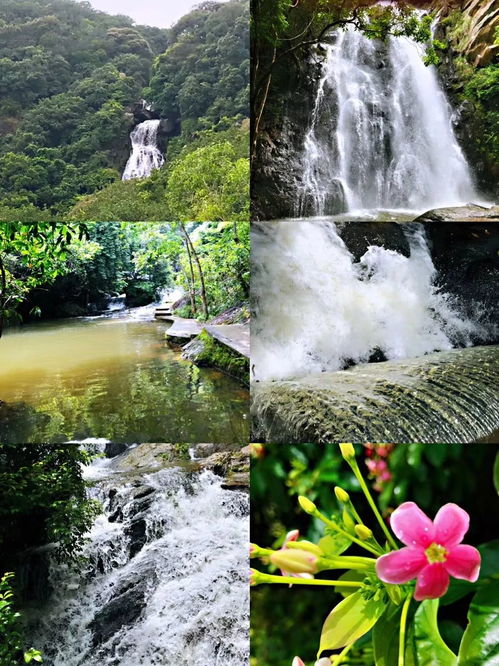 食物篇：饿不死就行…实在不行啃树皮