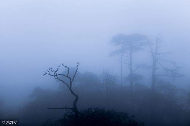 4. 被追赶梦 - 跑啊跑啊跑