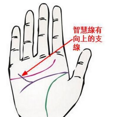 不同类型的智慧线与足智多谋的关系
