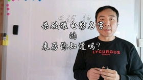 大海水命男孩起公司名，有哪些名字适合大海水命的人？