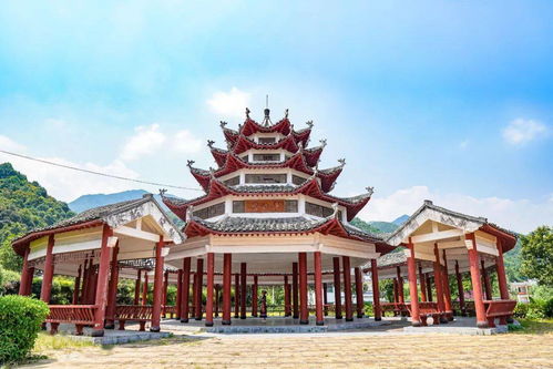 八字中6重财代表多少钱？如何通过八字分析财运来源并改善？