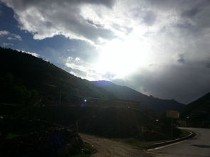 逃离与追寻：艰难岁月的磨砺